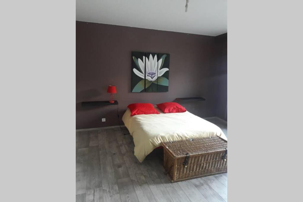 Villa 20 Couchages Cilaos Centre Extérieur photo